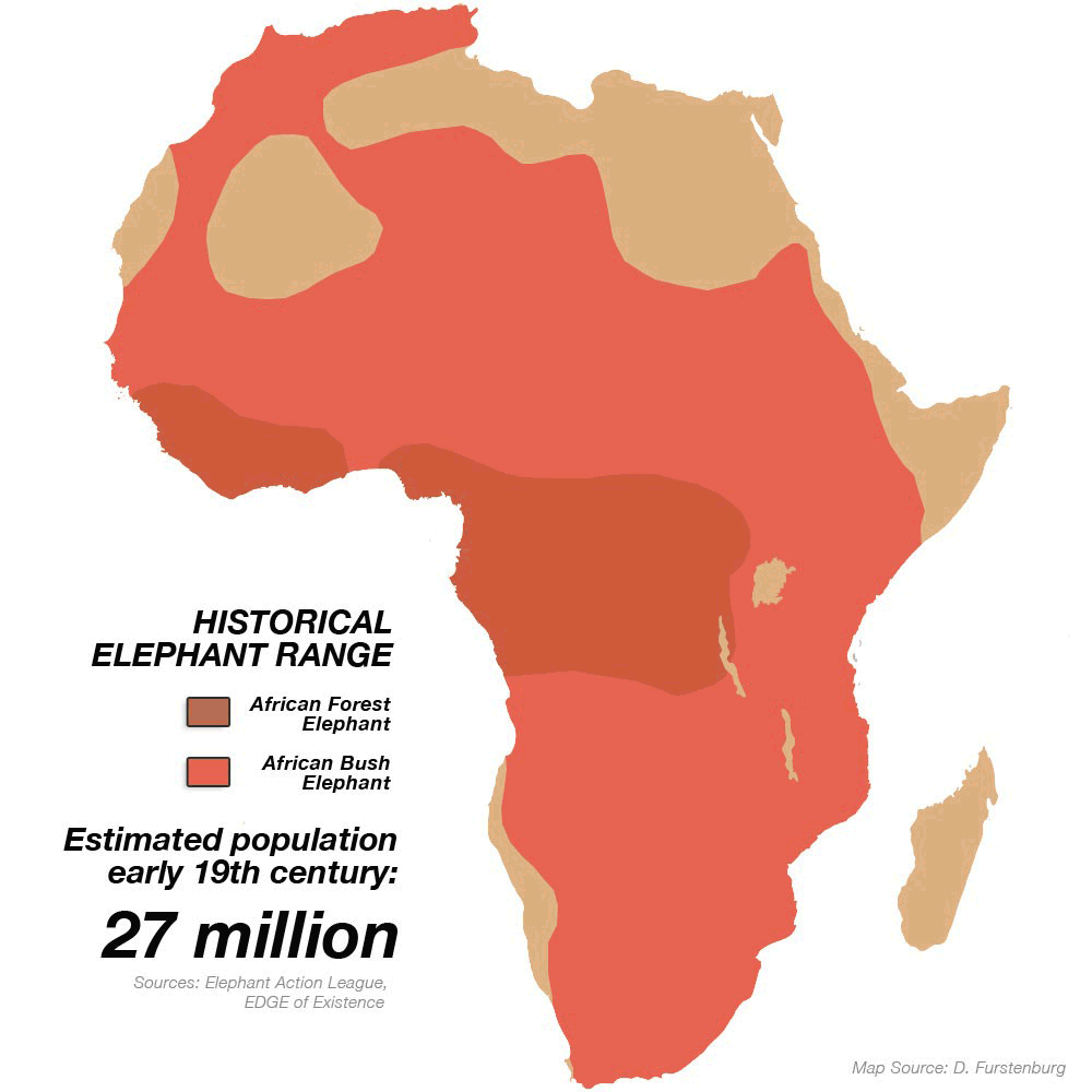 Modern And Historical Range Of The Elephants Vivid Maps