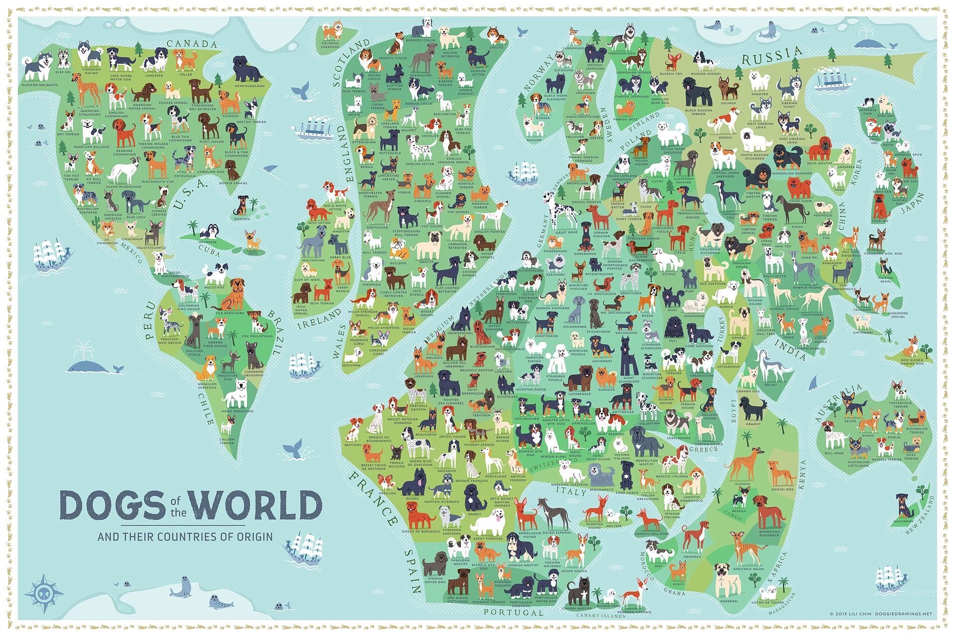 https://www.vividmaps.com/wp-content/uploads/2019/01/dogs.jpg