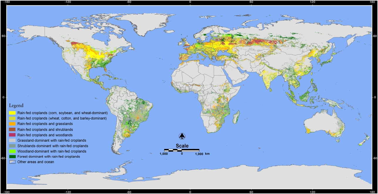 Rain fed. Sorghum sudanense piper. Население восточной азии. Rain fed. How hurricanes form.